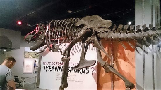 スミソニアン博物館といえばここ。改装中ではありましたがメインの恐竜を見てきました。うちの3歳児には、ちょっと早すぎたかも。